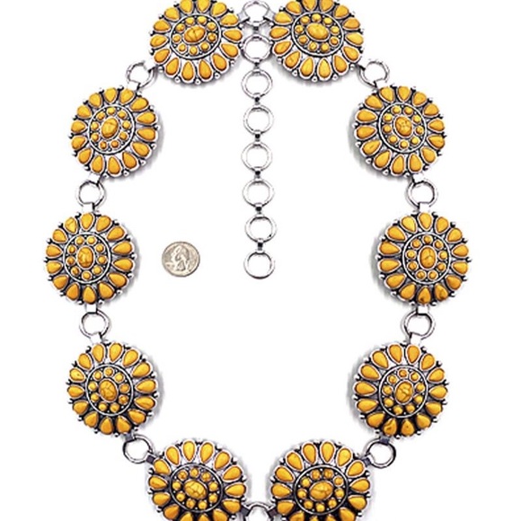 Western Belt - Picture 1 of 1